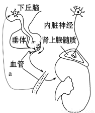 你是不是我的爱人 视频缩略图