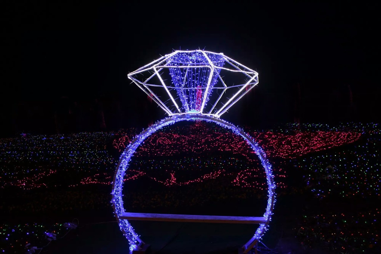 假偶成真 视频海报