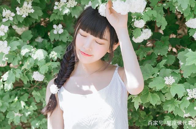 侠肝义犬（国语版） 视频缩略图