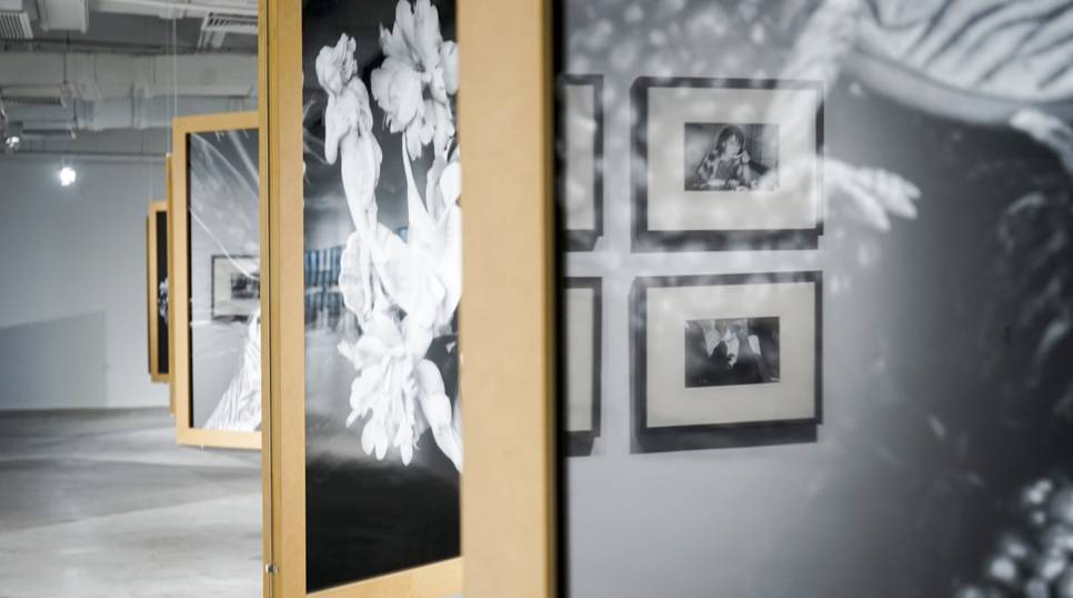 僵尸参将 视频缩略图