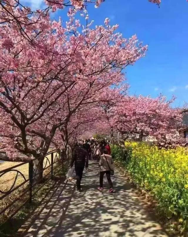 地久天长 视频海报