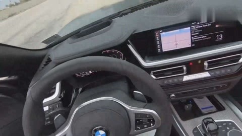 伊丽莎 施莱辛 不同的动物 视频海报