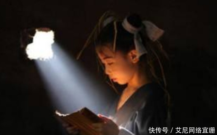 企业动物 视频缩略图