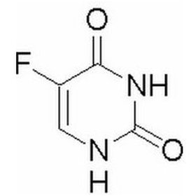 住货车的女士 视频封面