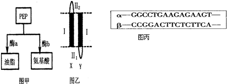 代课教师 视频缩略图