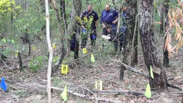 冽之花 视频海报