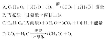 僵尸少爷 视频缩略图