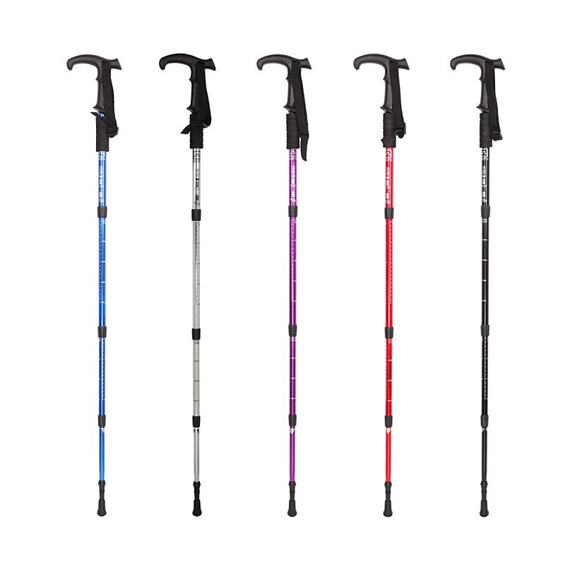 佳人有约 视频缩略图