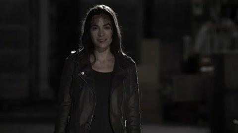 冰路营救 视频缩略图