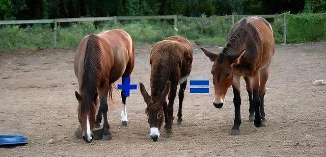 兄弟，请注意 视频缩略图