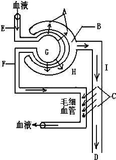 倒数第二次恋爱 2012秋SP 视频缩略图