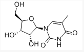 优雅的世界（下部） 视频缩略图