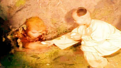 冰封侠：时空行者 普通话版 视频缩略图