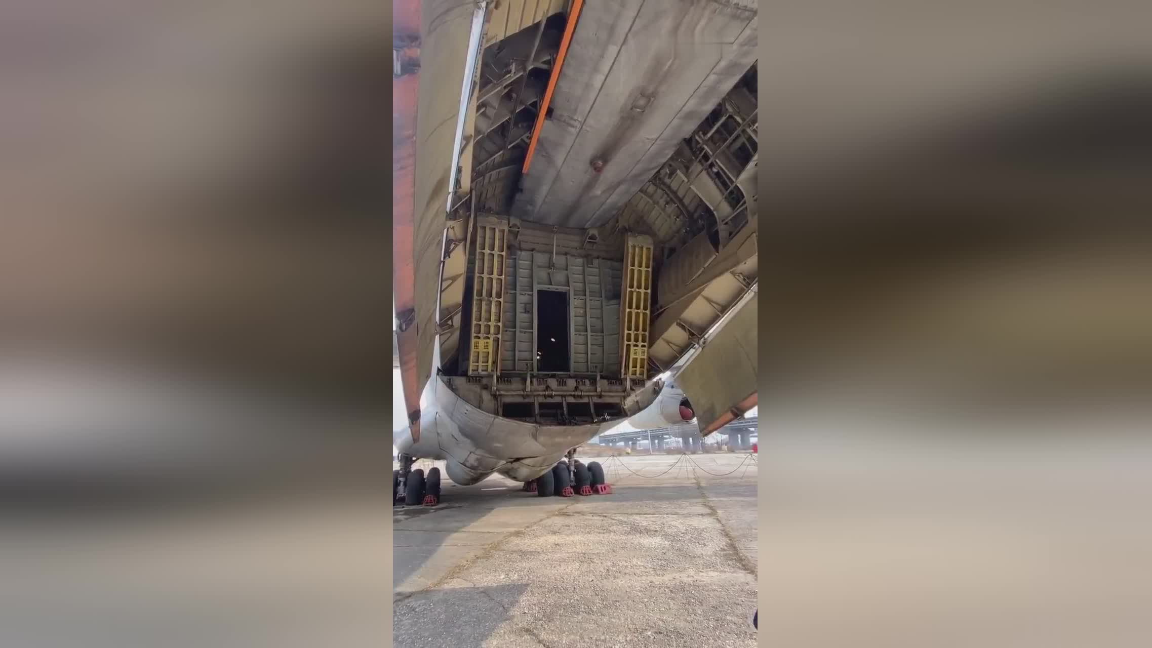 借口公司 Alibi.com 视频缩略图