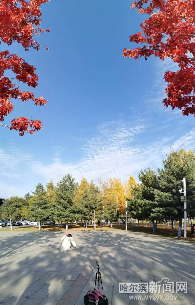 信天翁 视频缩略图