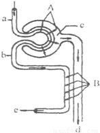 仲夏夜惊魂 视频主图
