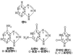 伊娃 视频缩略图