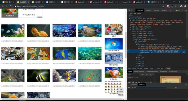 你燃烧了我 视频缩略图
