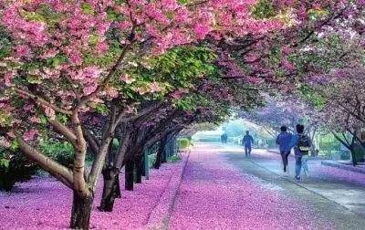 何者 视频缩略图