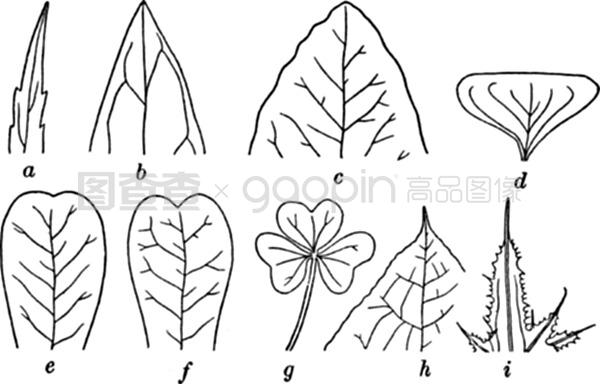 决战紫禁之巅（国语版） 视频主图