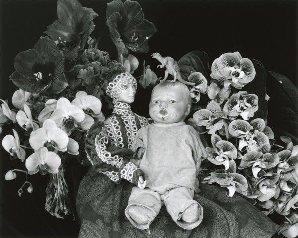 决战江湖之烂仔鸭王 视频海报