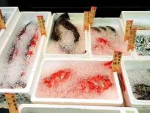 假面骑士联手出击驰骑与铠武电影大战全力出击 视频缩略图