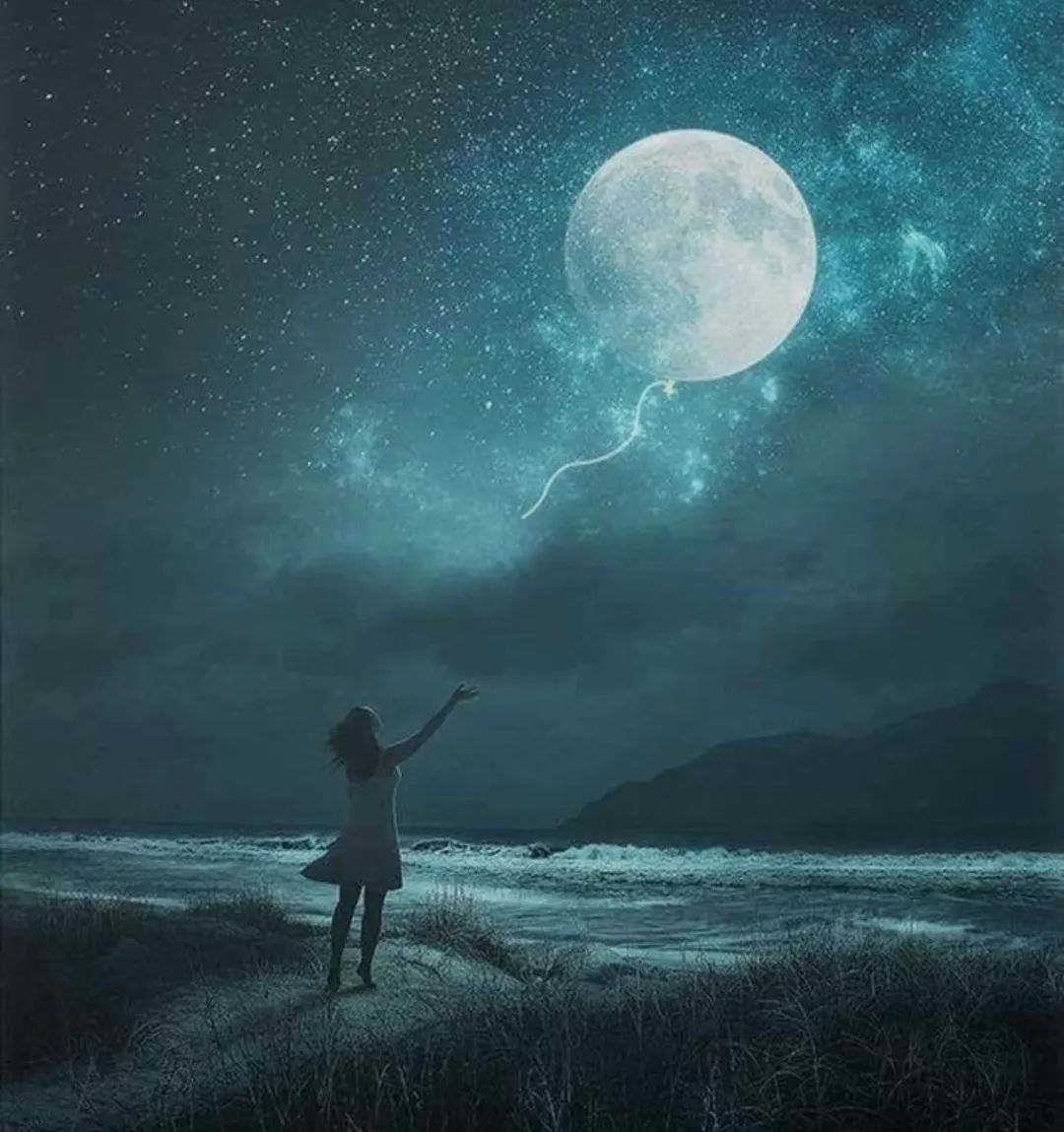 伊娃 视频缩略图