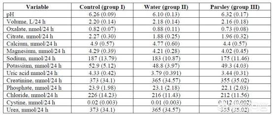 不死者之王OAD 视频主图