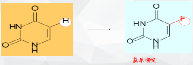 但愿人长久 视频缩略图