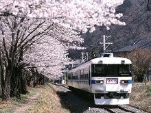 凯萨里 视频缩略图