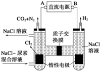 你们这些混蛋 视频缩略图